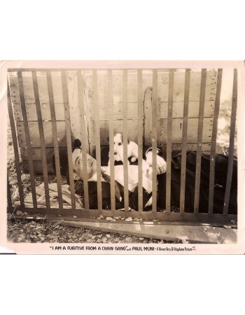 I AM A FUGITIVE FROM A CHAIN GANG