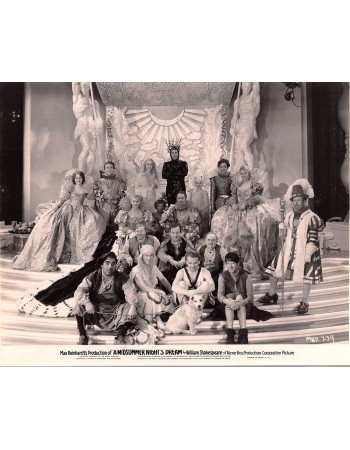 A MIDSUMMER NIGHT'S DREAM