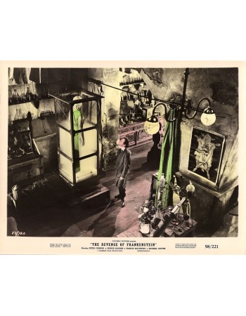 THE REVENGE OF FRANKENSTEIN