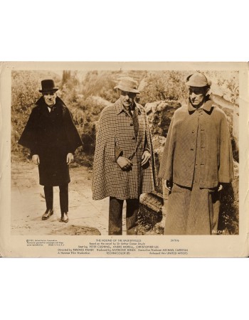 THE HOUND OF THE BASKERVILLES