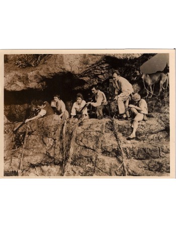 SWISS FAMILY ROBINSON