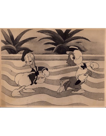 DONALD DUCK