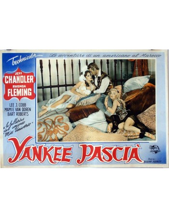 YANKEE PASHA