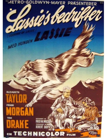 COURAGE OF LASSIE