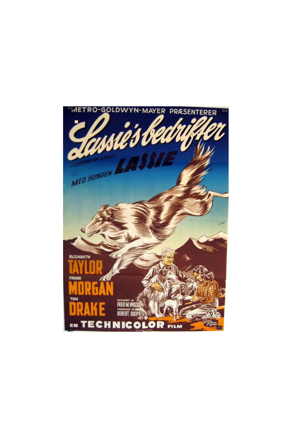 COURAGE OF LASSIE