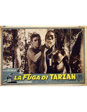 TARZAN ESCAPES