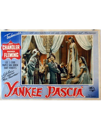 YANKEE PASHA