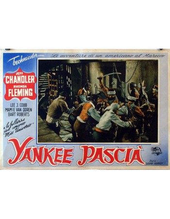 YANKEE PASHA