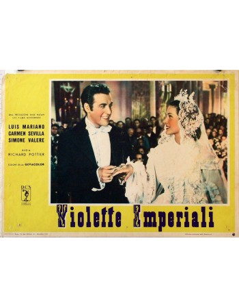 VIOLETAS IMPERIALES