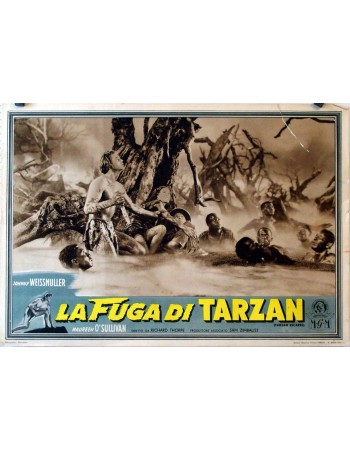 TARZAN ESCAPES