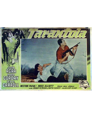 TARANTULA