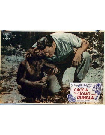 JUNGLE MANHUNT
