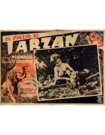 TARZAN FINDS A SON