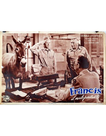 Francis