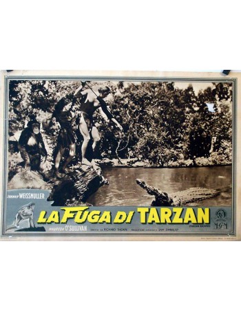 TARZAN ESCAPES