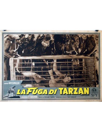 TARZAN ESCAPES