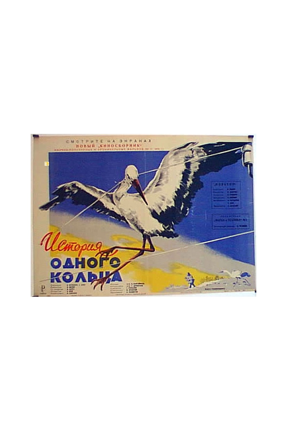 OAHOTO KOABILA