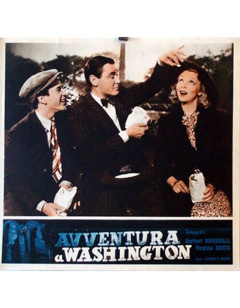 Adventure in Washington