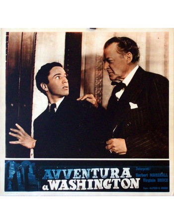 Adventure in Washington