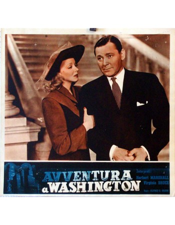Adventure in Washington
