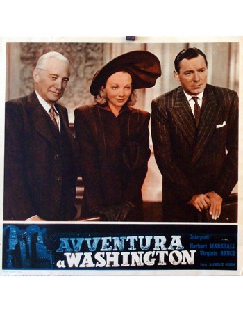 Adventure in Washington