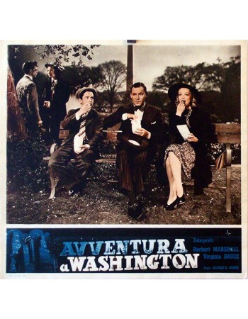 Adventure in Washington