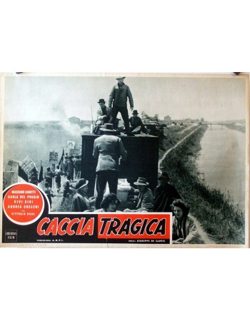 CAZA TRAGICA