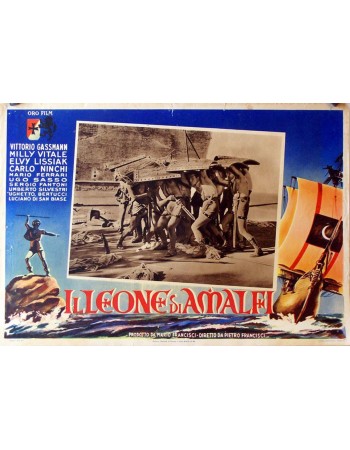 IL LEONE DI AMALFI