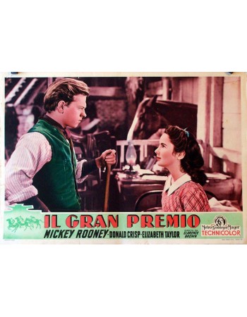 NATIONAL VELVET