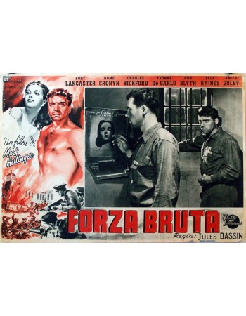 BRUTE FORCE