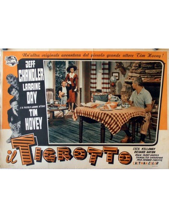 The Toy Tiger