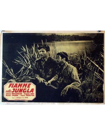 SWAMP FIRE
