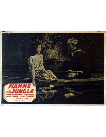 SWAMP FIRE