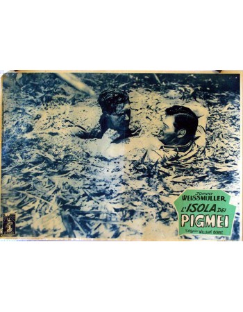 Jungle Jim in Pygmy Island