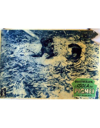 Jungle Jim in Pygmy Island