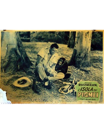 Jungle Jim in Pygmy Island