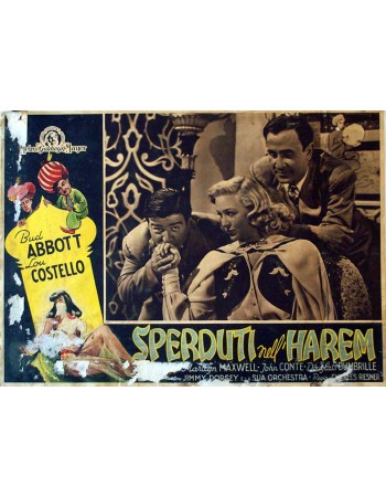 Lost in a Harem