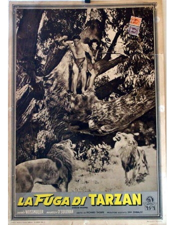 TARZAN ESCAPES