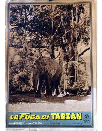 TARZAN ESCAPES