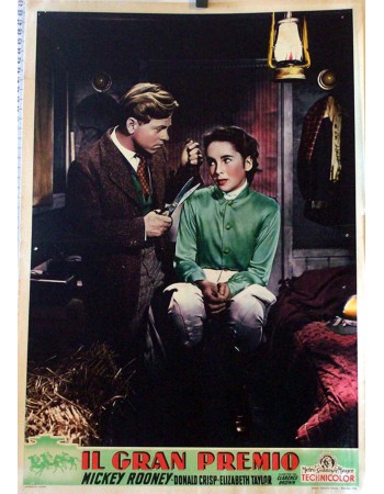 NATIONAL VELVET