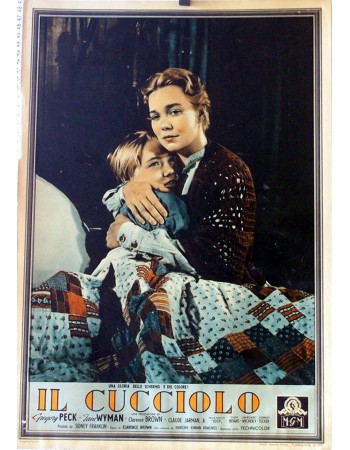 THE YEARLING