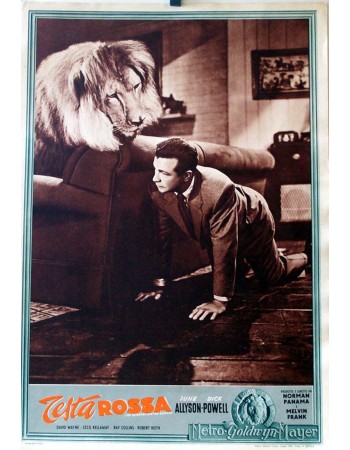 THE REFORMER AND THE REDHEAD
