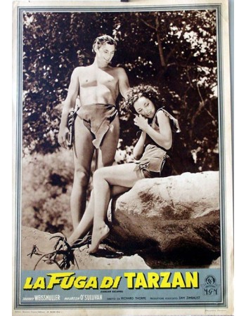 TARZAN ESCAPES