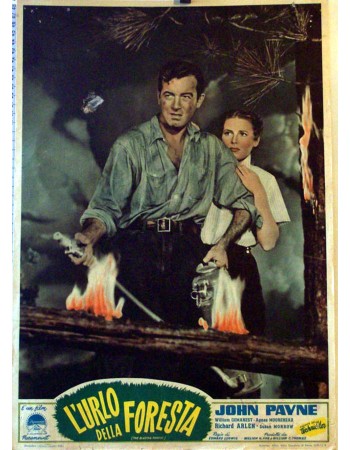 THE BLAZING FOREST
