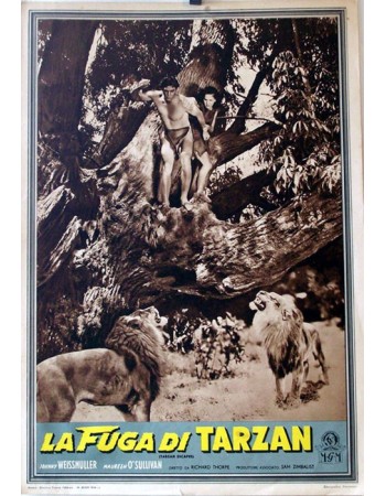 TARZAN ESCAPES