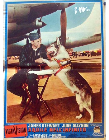 STRATEGIC AIR COMMAND