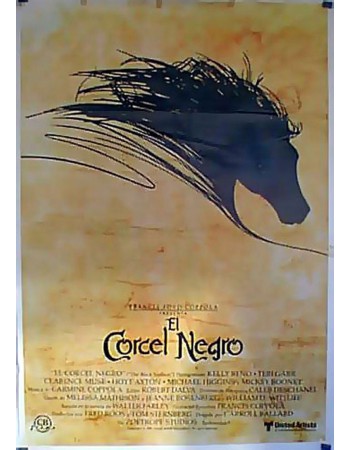 THE BLACK STALLION