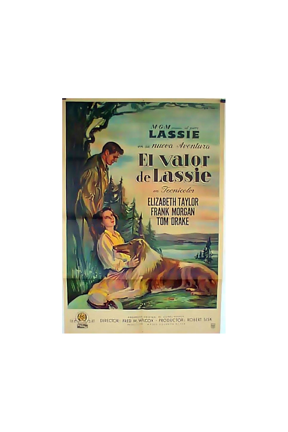 COURAGE OF LASSIE