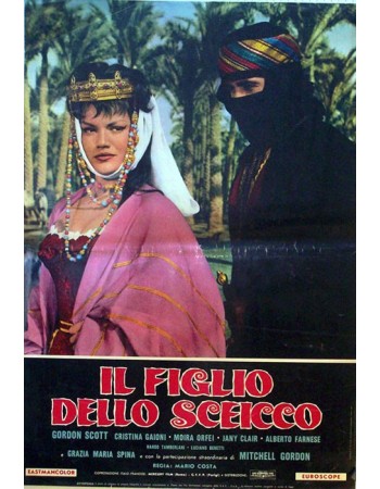 IL FIGLIO DELLO SCEICCO