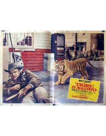 A Tiger Walks